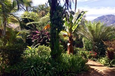 هتل Magoebaskloof Mountain Lodge