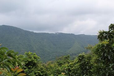 هتل Magoebaskloof Mountain Lodge