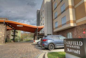 Hotel Fairfield Inn & Suites By Marriott Gatlinburg Downtown