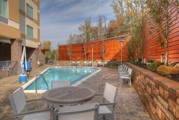 Hotel Fairfield Inn & Suites By Marriott Gatlinburg Downtown