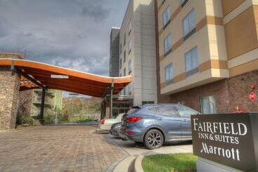 Hotel Fairfield Inn & Suites By Marriott Gatlinburg Downtown