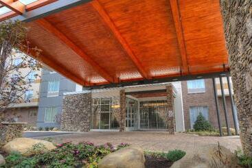 Hotel Fairfield Inn & Suites By Marriott Gatlinburg Downtown