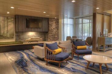 Hotel Fairfield Inn & Suites By Marriott Gatlinburg Downtown