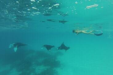 هتل Holiday Haven Ukulhas