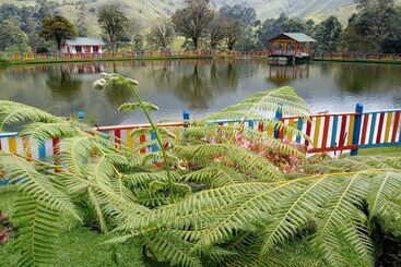 هتل Lago Valdivia