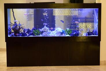 هتل The Flora Grand, Vasco, Goa