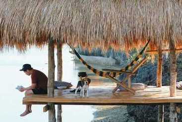 استراحتگاه Birdland Beach Club