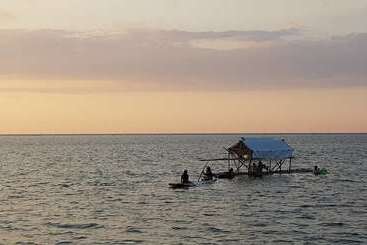 استراحتگاه Birdland Beach Club