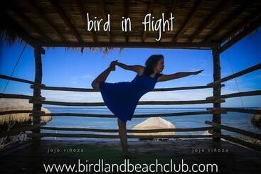 استراحتگاه Birdland Beach Club