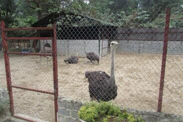 Truong Xuan Resort