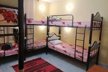 Bunksurfing Hostel