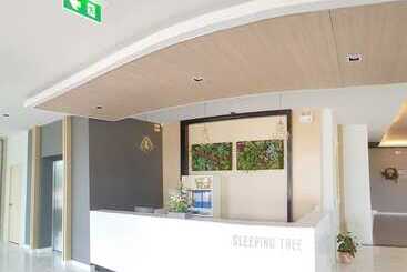 هتل Sleeping Tree