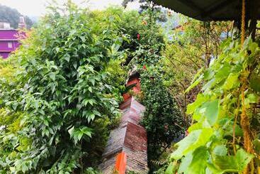 هاستل Goodday Backpackers