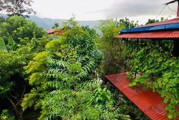 هاستل Goodday Backpackers