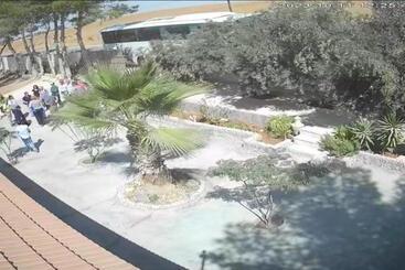 پانسیون Beni Hamida Tourist Restaurant