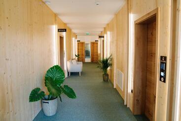 پانسیون Sobe Rooms Jelen Jelenov Greben