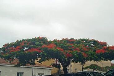 پانسیون Un Jardin Al Mar