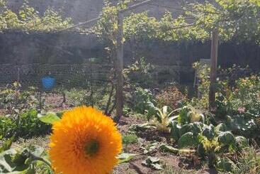 پانسیون Un Jardin Al Mar