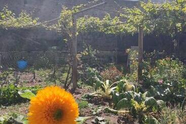پانسیون Un Jardin Al Mar