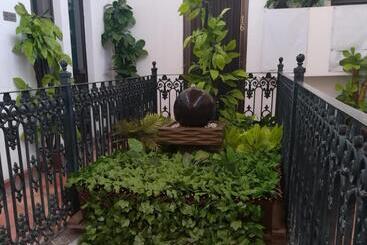 هاستل Posada Del Carmen