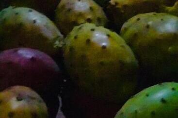 تختخواب و صبحانه Charming Rooms Opuntia