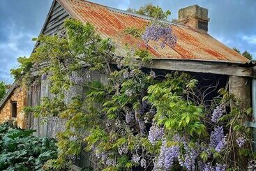 تختخواب و صبحانه Cherry Plum Cottages