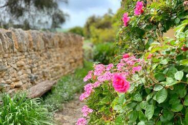 تختخواب و صبحانه Cherry Plum Cottages