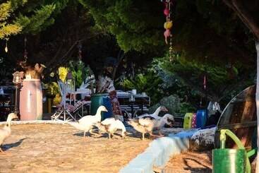 تختخواب و صبحانه Kaymak Tepesi Tatil Evi