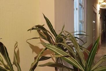 هتل Hostel Paricutín