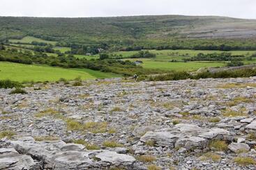تختخواب و صبحانه Clare View