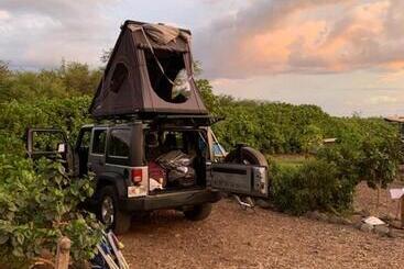 هتل Campcar Maui Jeeps Suvs Hybrid Camper Van Rentals With Equipment And Travel Advice