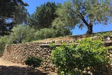 پانسیون Logement Provence Dans Domaine Oléicole