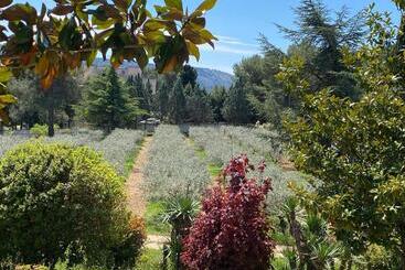 پانسیون Logement Provence Dans Domaine Oléicole
