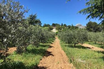 پانسیون Logement Provence Dans Domaine Oléicole