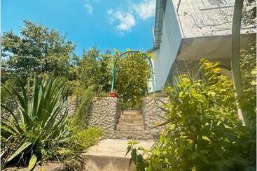 پانسیون Paloma Bed And Breakfast