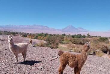هاستل Estancia Luza