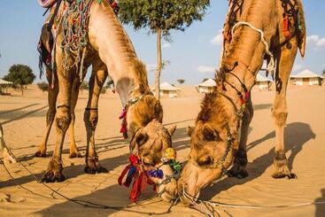 هتل Yatra Desert Camp