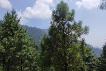 هتل Lahore Guest House, Dadar, Siran Valley