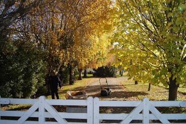تختخواب و صبحانه Oliver S Farmstay