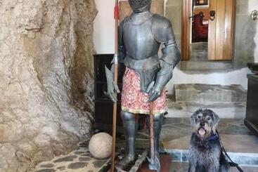 تختخواب و صبحانه Burg Hermannstein Monks Room