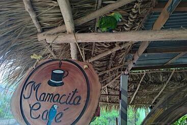 מלון כמוסות Mamacita Café House