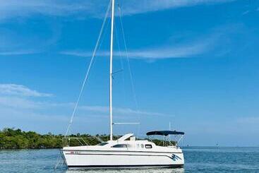 فندق صغير Private Sail Boat On The Beautiful Waters Of Key West
