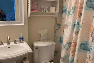 Beautiful Hilton Head Condo, Steps From Ocean, 1st Floor, 2bd / 2ba, And More!