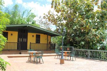 هتل El Oasis