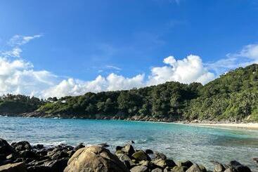 پانسیون The Viva Patong