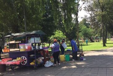 هاستل Quito Terrace
