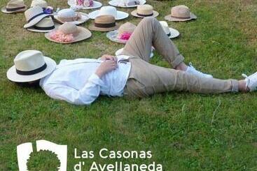 هتل Las Casonas De Avellaneda