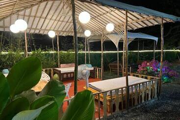 The Peace Hostel   Arambol, Goa