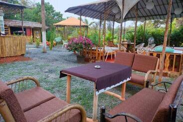 The Peace Hostel   Arambol, Goa
