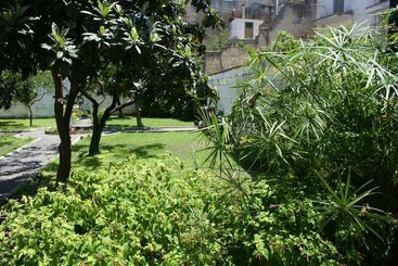 Urban Oasis Hostel